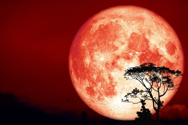 The End of September, Time to Hunter Moon!