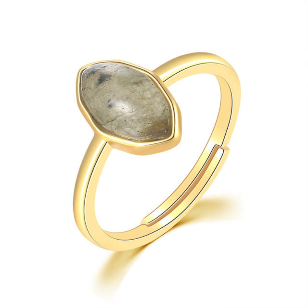 Spiritual Labradorite 14K Gold Plated Adjustable Ring - Rings - Pretland | Spiritual Crystals & Jewelry